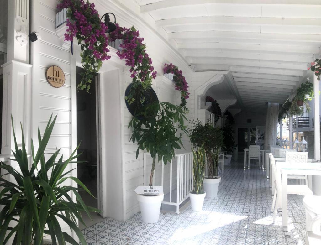 אדאלר Hi Hotel Ivy Bueyuekada מראה חיצוני תמונה
